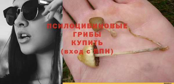 марки nbome Богородицк