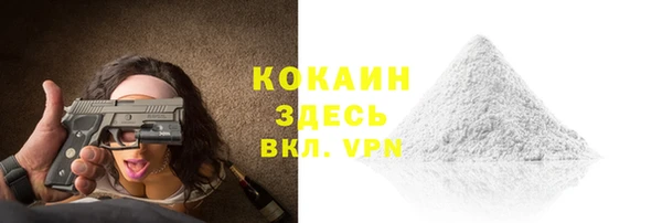 шишки Осташков