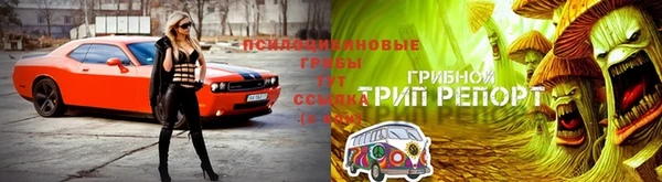 каннабис Няндома
