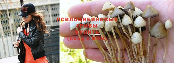 ешки Нягань