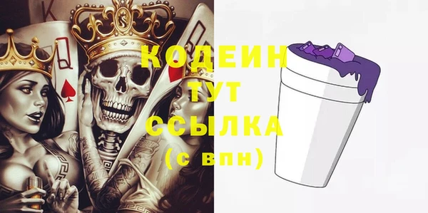 шишки Осташков