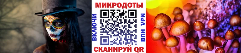 купить   kraken сайт  Галлюциногенные грибы Psilocybe  Арсеньев 