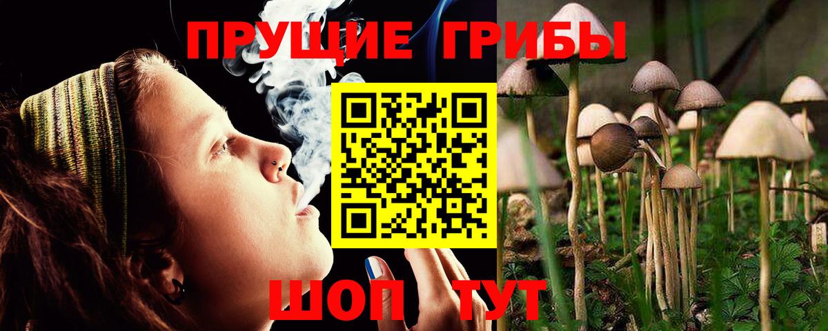 Арсеньев  Псилоцибиновые грибы Magic Shrooms  Галлюциногенные грибы мицелий  Вход с VPN 