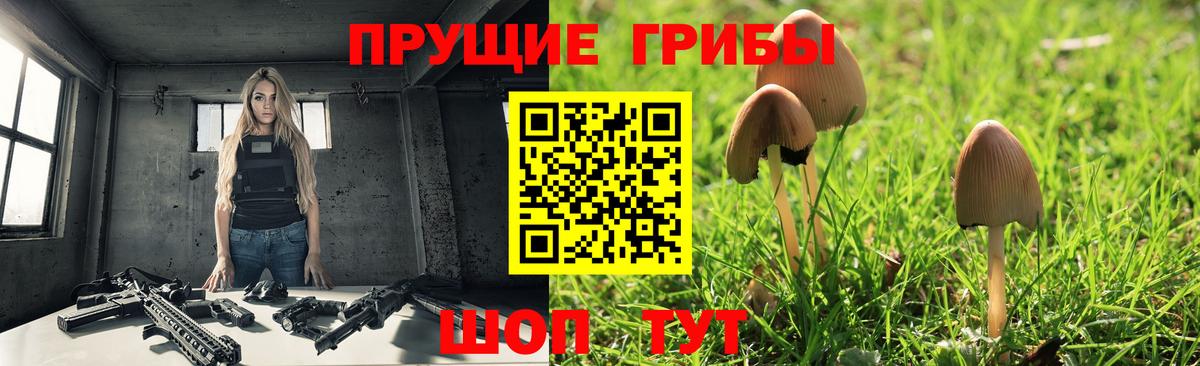 где купить   Галлюциногенные грибы Magic Shrooms  Арсеньев  Галлюциногенные грибы ЛСД 