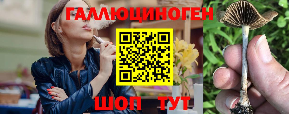 Галлюциногенные грибы прущие грибы Арсеньев